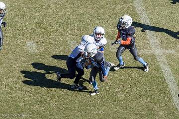 D6-Tackle  (276 of 804)